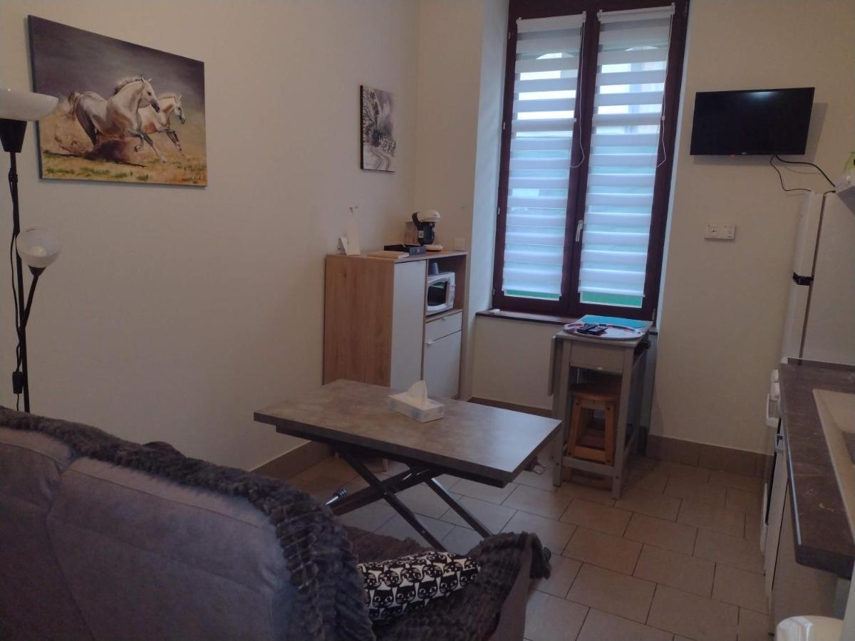 Appartement Rdc Chez Caroline Bourbonne-les-Bains Eksteriør billede