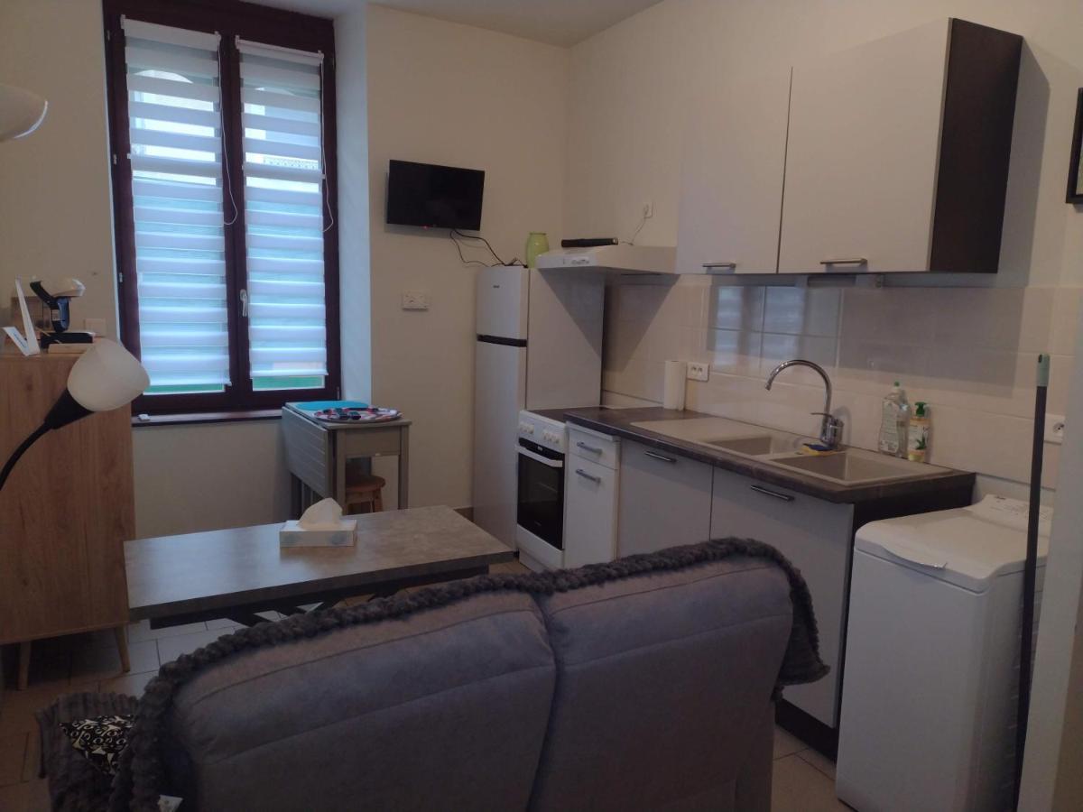 Appartement Rdc Chez Caroline Bourbonne-les-Bains Eksteriør billede